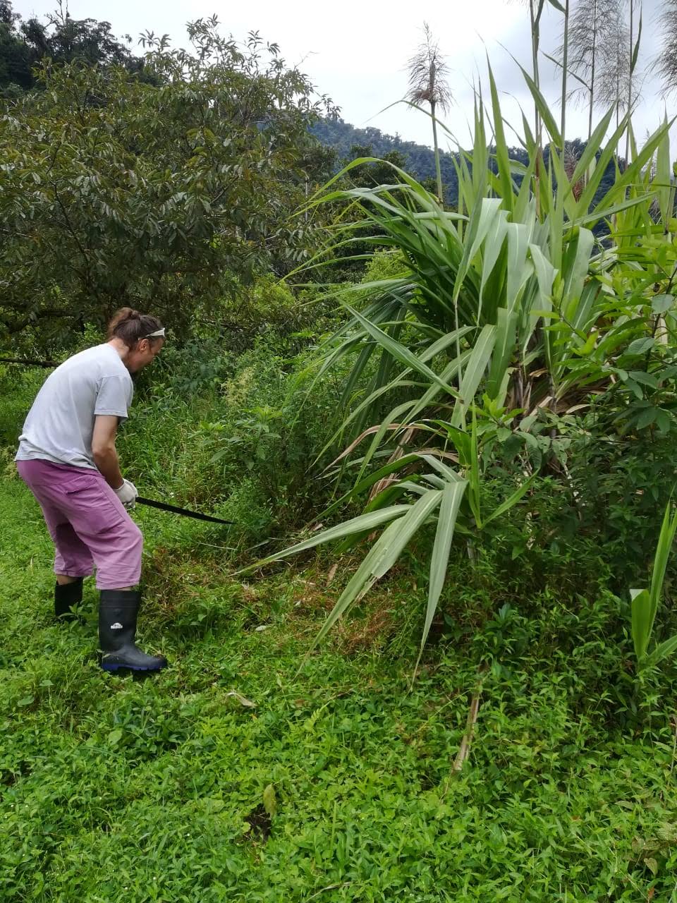 IMG-20191226-WA0009